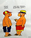 Asini, Muli, Corvi, Maiali_088